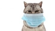 Cat-to-Human Transmission of COVID-19: 32-Year-Old Female Veterinarian Contracts Coronavirus After Being Exposed to Infected Cat