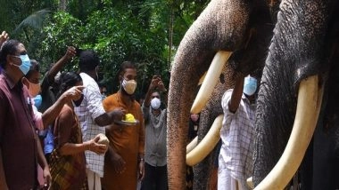 India News | Kerala: COVID-19 Dampens 'Karkidakam' Spirit, Elephant Owners, Mahouts Struggle to Make Ends Meet