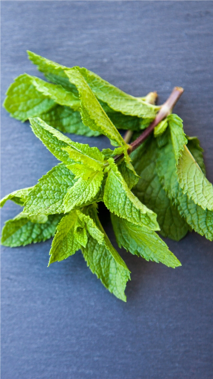 From Mint to Coconut Water, Have These 5 Cooling Foods To Beat the Summer Heat