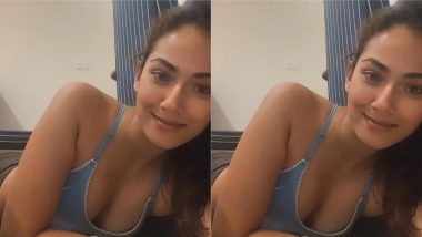 Mira Kapoor Posts a Saucy Snap on Instagram Flaunting Her Post Yoga Glow (View Pic)
