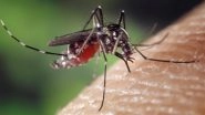 Dengue Outbreak in Delhi: Total Caseload Mounts Over 2,700, Death Toll Reaches 9 in The National Capital