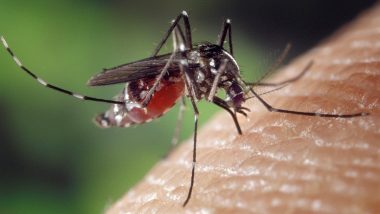 West Nile Virus in US: 7 States Detect Mosquitoes Carrying Virus That Can Cause Paralysis in Humans, California Reports 1st Death in 2021; Know About Symptoms & Treatment