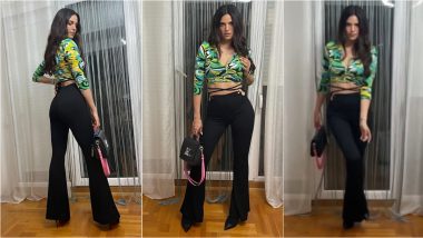 Nataša Stanković Nails the Midriff Flossing Trend, Beau Hardik Pandya Goes Gaga Over Her High-On Fashion Instagram Reel