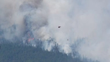 World News | Residents of Canada's Lytton Evacuate as Catastrophic Wildfires Devastate Village