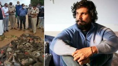 Randeep Hooda Appeals Karnataka CM to Take Action Against Gruesome Murder of 60 Monkeys in State