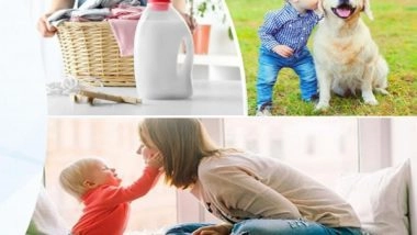 Business News | Rossari Biotech Posts 58 Pc Growth in Q1 PAT at Rs 25 Crore