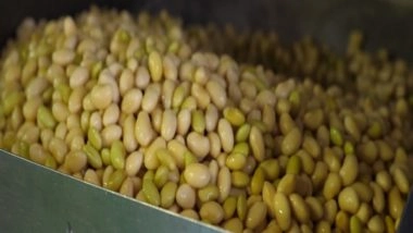 World News | Soybean: A Popular Ingredient of Japanese Cuisine