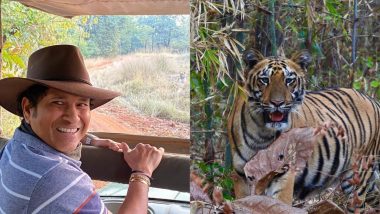 Sachin Tendulkar Celebrates International Tiger Day 2021 Sharing Throwback Pics From His Tiger Safari