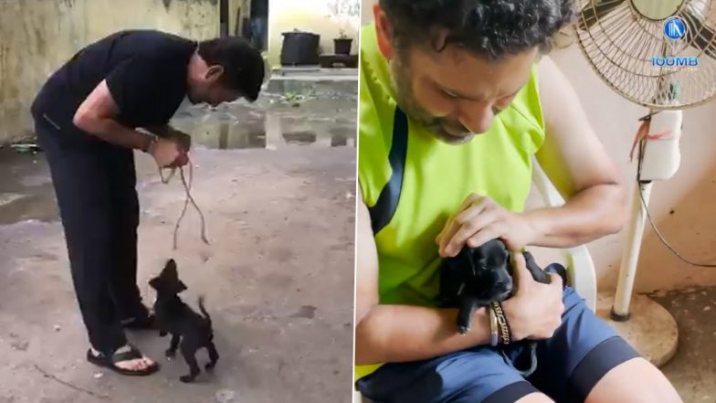 Jab Sachin Tendulkar Met Spike! Watch Video of Indian Cricket Icon Bonding With His Pet, a Lovable Black Indian Breed Pup