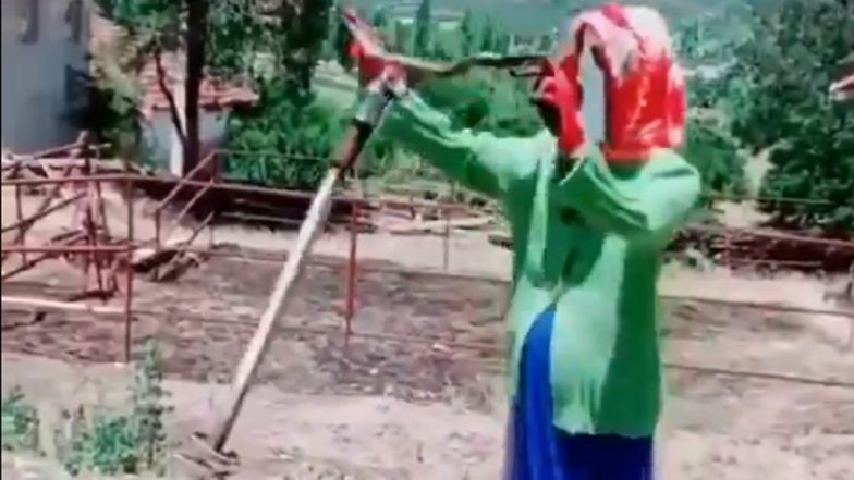 ‘Scariest Scarecrow Ever’: Video of Spring-Attached Jumping Scarecrow With Ghost Mask Goes Viral