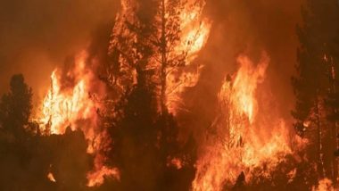 Turkey Forest Fire: Death Toll In Wildfire Raging in South Turkey Rises To 4; Firefighting Operations Underway (View Images And Videos)