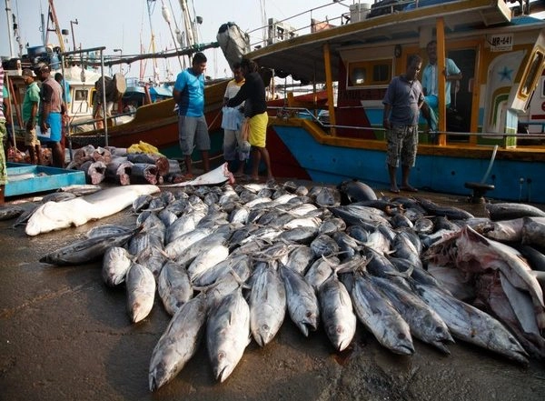 World News | China Tightening Grip on Sri Lanka by Exploiting Its Vulnerable Situation: Think Tank