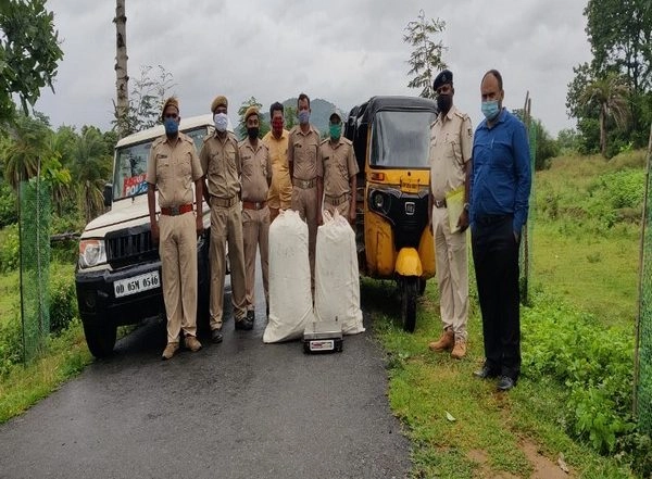 India News | Odisha: Over 66 Kg Ganja Seized from Auto-rickshaw in Gajapati District