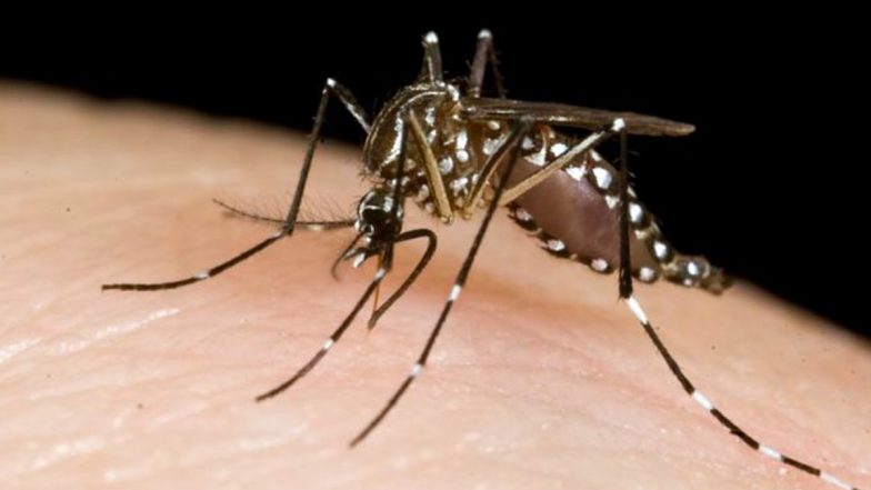 Zika Virus Cases in Kerala Rise to 14, Central Team of Experts Sent to State to Monitor Situation