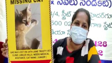 Hyderabad Woman Announces Rs 30,000 Cash Reward for Information on Her Missing Cat 'Ginger'