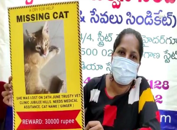 Hyderabad Woman Announces Rs 30,000 Cash Reward for Information on Her Missing Cat 'Ginger'