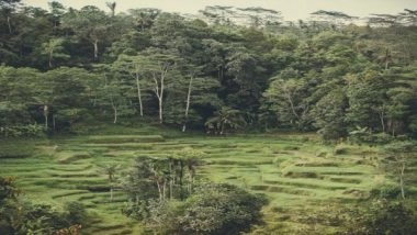 Science News | Earth's Climate Control System Got Changed Due to Arrival of Land Plants: Study