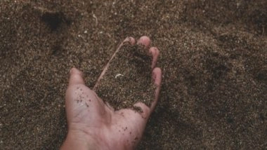 Science News | Tiny Toxic Particles of Coal Ash in Soil Can Be Detected by New Test