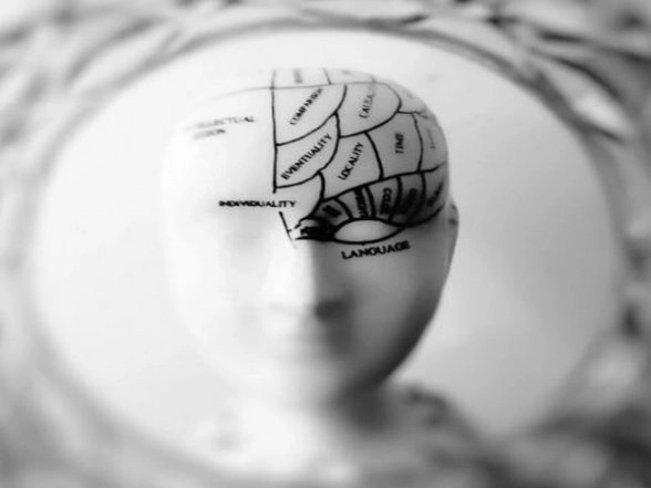Scientists Discover New Class of Memory Cells for Remembering Faces