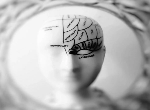 Scientists Discover New Class of Memory Cells for Remembering Faces