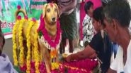 India News | Andhra: Bronze Statue of Dog Erected on Its Fifth Death Anniversary