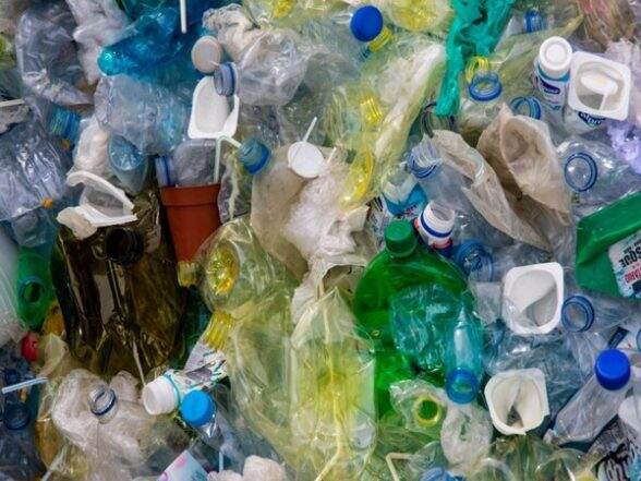 Cow’s Stomach Microbes Can Break Down and Digest Plastic, Says Study