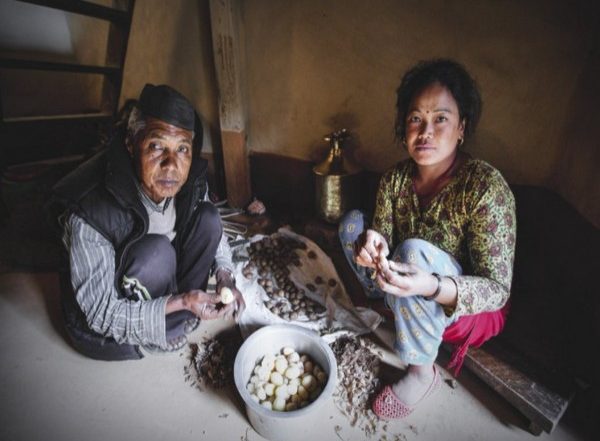 Health News | Protein Week 2021: Study Suggests Nearly One in Two Indian Adults Have Poor Life Quality