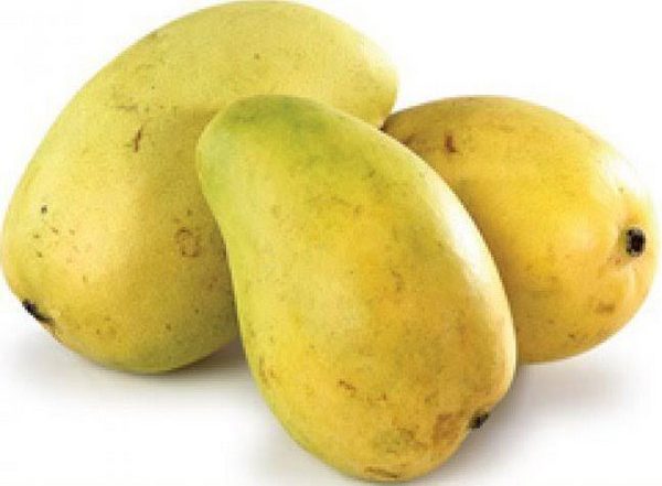 World News | India Expands Mango Export Footprint; GI Certified Fazil Mango Shipped to Bahrain