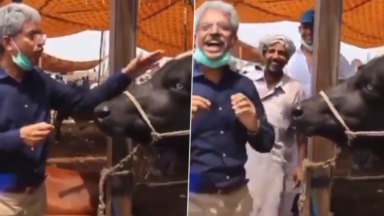 Pakistani Reporter Interviews Buffalo, Asks, ‘How Did You Like Lahore?’ See the Animal’s Reaction