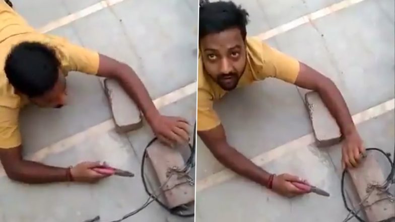 Uttar Pradesh: Power Thief’s Snake Crawl To Cut Wires Caught on Video (Watch Viral Video)