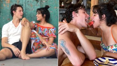 Shawn Mendes and Camila Cabello Celebrate Two-Year Dating Anniversary With Social Media Posts (See Pics)