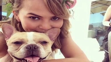 Entertainment News | Chrissy Teigen Mourns Death of Her French Bulldog Pippa