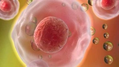 Science News | New Gut-liver Drug Recycling Process Discovered