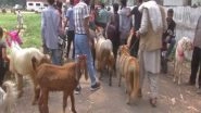 India News | Goat Market Set Up in J-K's Poonch Ahead of Eid-ul-Azha