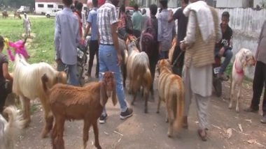 India News | Goat Market Set Up in J-K's Poonch Ahead of Eid-ul-Azha