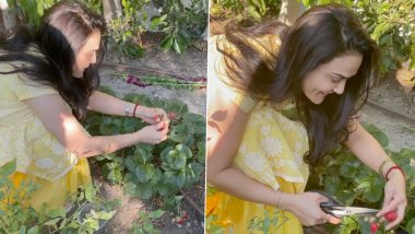 Preity Zinta Excitedly Shows the Strawberries Growing in Her Home Garden, Urges Fans to Grow Their Own Veggies and Fruits