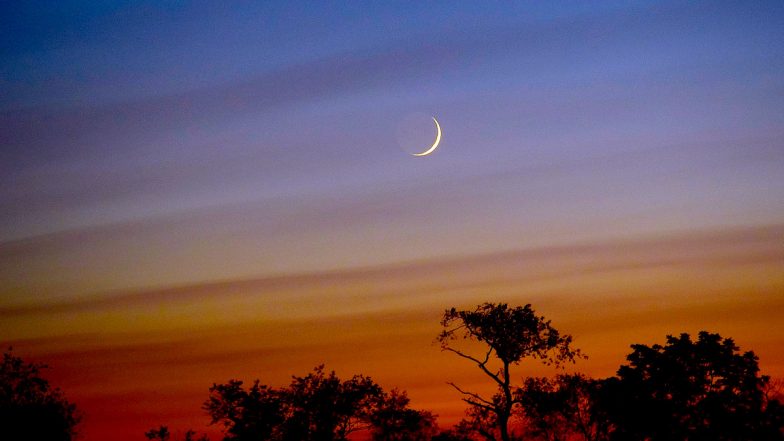 Live Stream: Mars, Venus & Young Moon to Align in the Sky on July 12-13; Know Where & When to Watch the Celestial Phenomenon