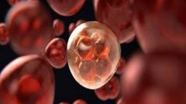 Health News | Structures Discovered in Brain Cancer Patients Can Help Fight Tumours