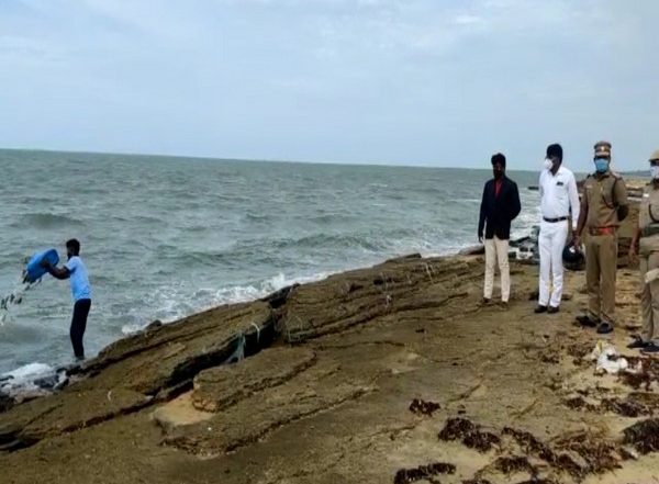 India News | 60 Kg of Sea Cucumbers and Sea Cards Seized in TN's Ramanathapuram