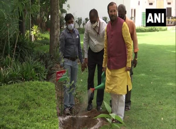 India News | India Has Target of Creating Additional 2 Billion Carbon Sequestration by 2030, Says Javadekar