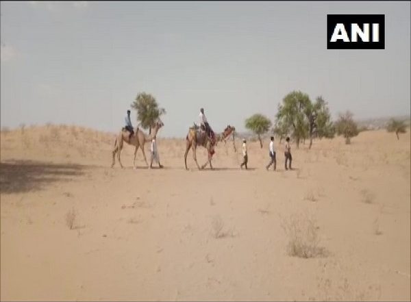 Rajasthan: Teachers Travel by Camel To Teach Students Lacking Mobile Networks in Barmer