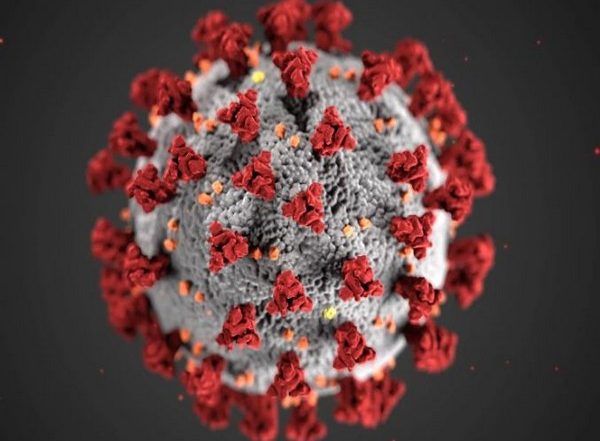 Global Eradication of COVID-19 More Feasible Than That of Polio, Says Public Health Experts