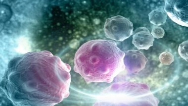 Health News | Researchers Shed Light on Identical Mutations That Cause Different Types of Cancer
