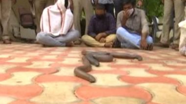 Snake Smuggling in Andhra Pradesh: 4 Held With Endangered Species of 3 ‘Red Sand Boa Snakes’
