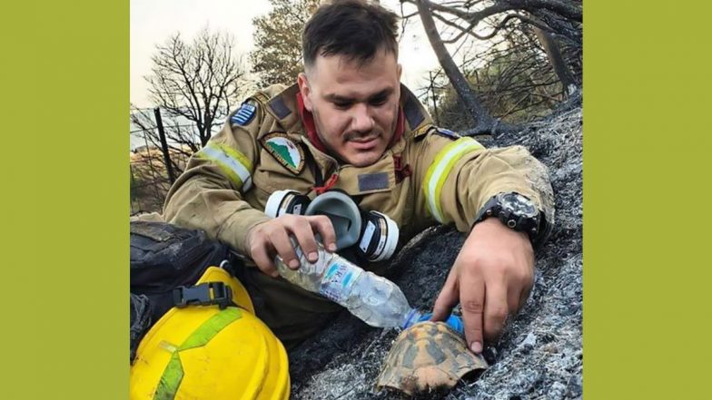 Greece Fires: Firefighter Gives Water to Turtle (View Pic)