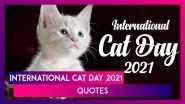International Cat Day 2021: Quotes, Greetings and Images To Celebrate The Small Furry Mammals