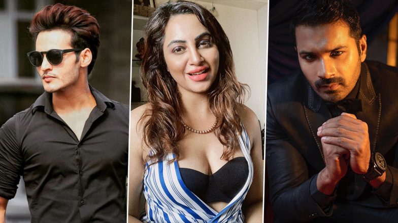 From Ravi Bhatia, Arshi Khan to Mrunal Jain; TV Stars Start Second Innings on OTT Channels