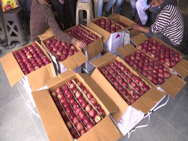 India News | Apple Prices Down in Himachal on Weak Demand, High Supply