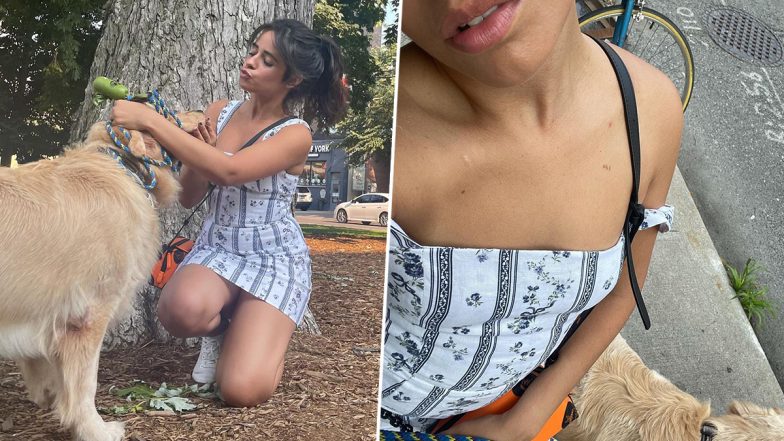 Camila Cabello Takes Her Furry Friend Out For a Walk In a Cute Short Dress, Shares Mirror Selfie With Boyfriend Shawn Mendes