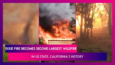 California: Dixie Fire Becomes Second Largest Wildfire In US State's History
